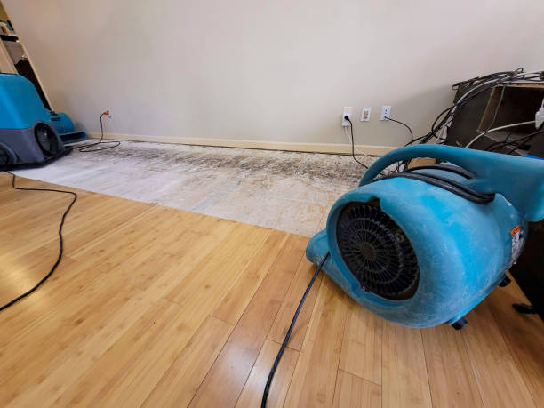 Professional Water Removal technician working in Lennox, CA